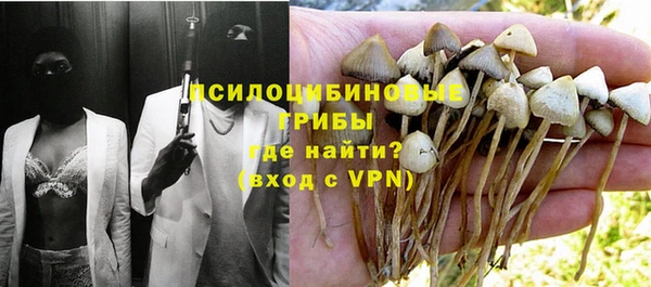 первитин Осинники