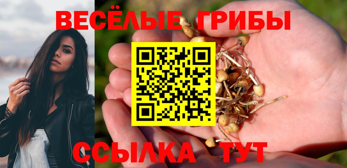 Псилоцибиновые грибы Psilocybine cubensis Рассказово