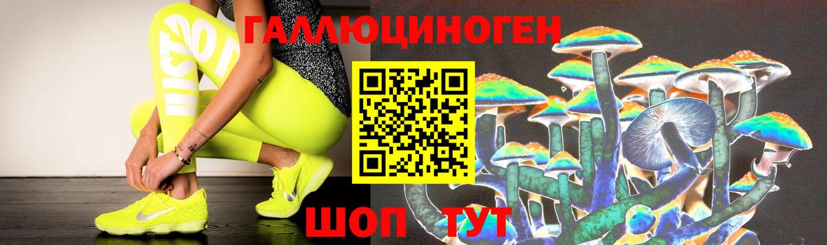 Галлюциногенные грибы MAGIC MUSHROOMS  Вход с VPN  Рассказово 